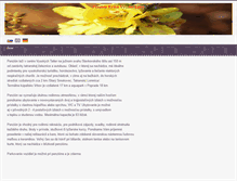 Tablet Screenshot of penzionerika.com